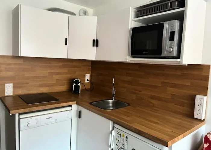 Apartman Vanoise - Style Montagne Pour Ce 2 Pieces Pour 4 Personnes En Centre Station Mae-7604